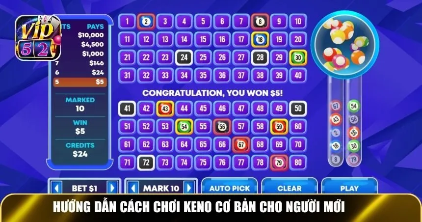 Hướng dẫn cách chơi Keno cơ bản cho người mới